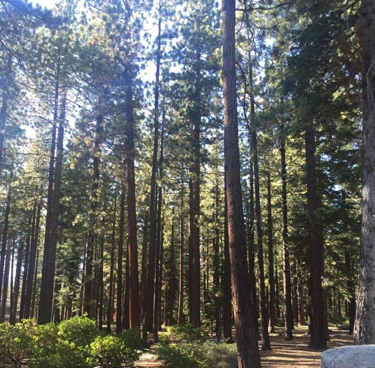 Club Tahoe Resort Incline Village Extérieur photo